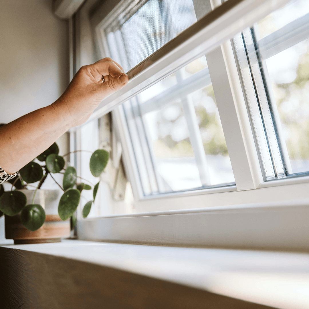 Hand öppnar ett vitt fönster ovanför en fönsterbräda med en krukväxt.