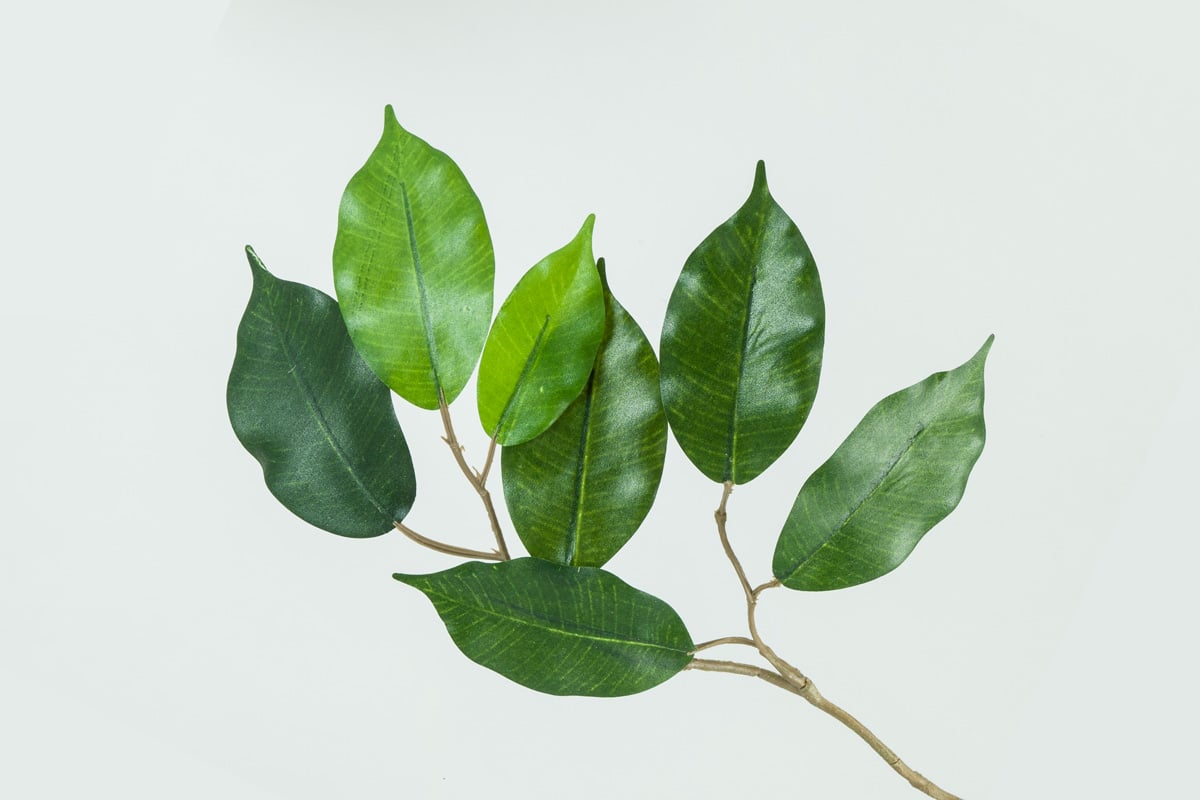 Klart solskyddsglas som släpper in ljus men reducerar värme och bländning.