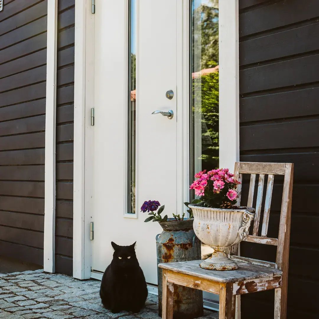 Svart katt sitter utanför en vit ytterdörr bredvid en stol med blomkruka på en mörk träfasad.