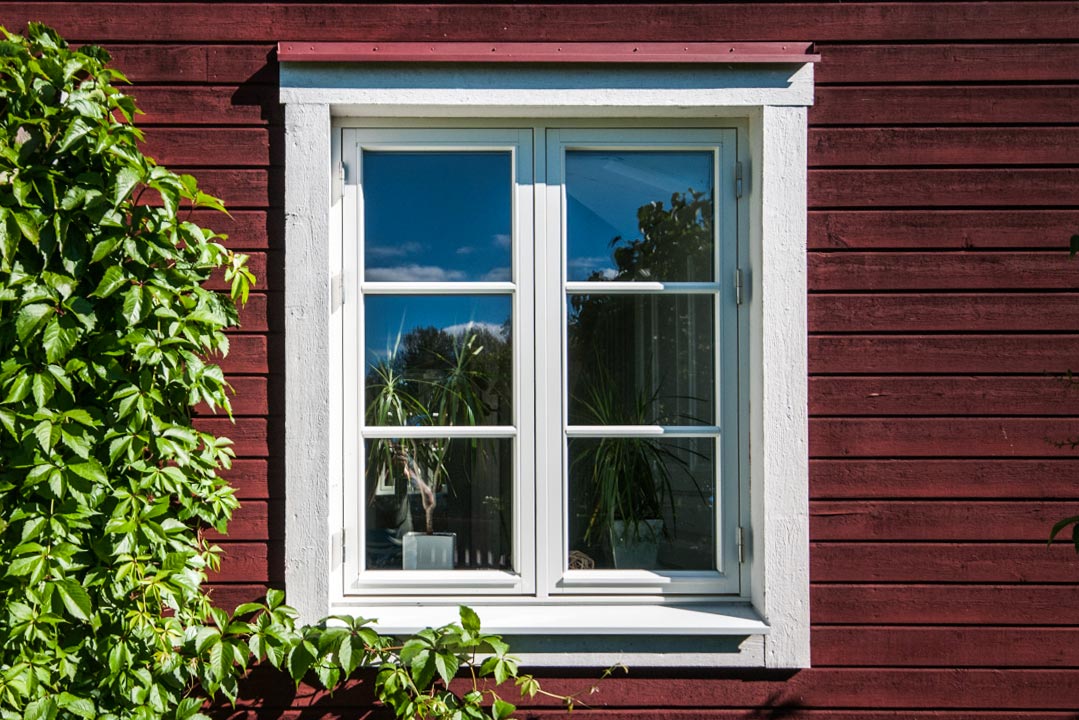 Fönster med vit ram på en röd träfasad, delvis täckt av grön klätterväxt.