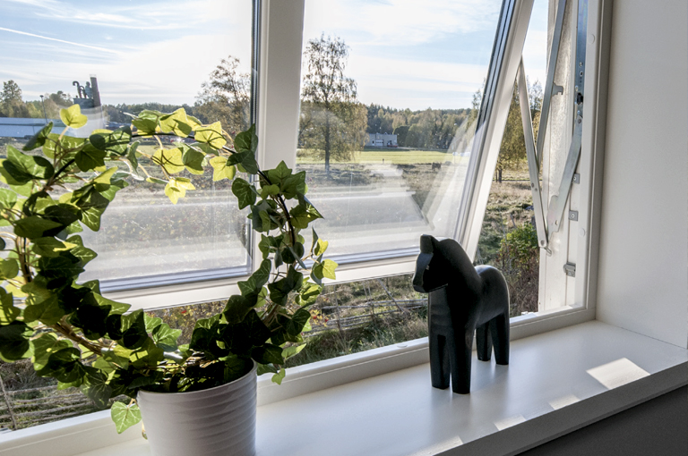 Öppet fönster med utsikt över landskap och växter i fönsterkarm.