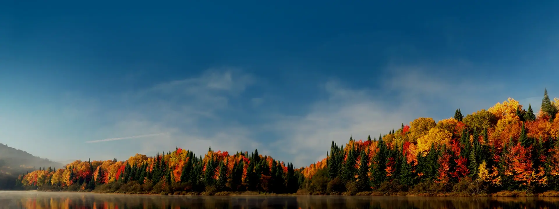 Höstlandskap med färgglada träd vid en sjö under klarblå himmel.
